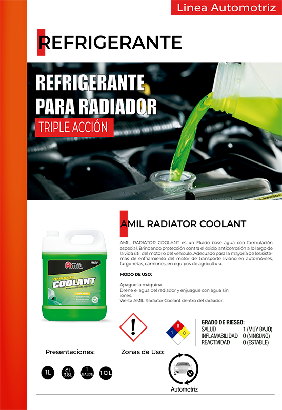 pagina11
