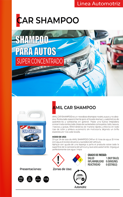 pagina13