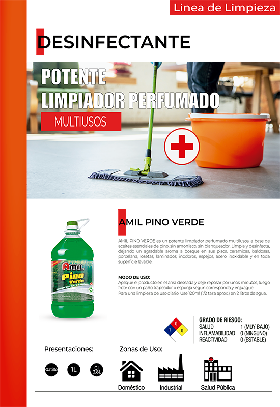 pagina5